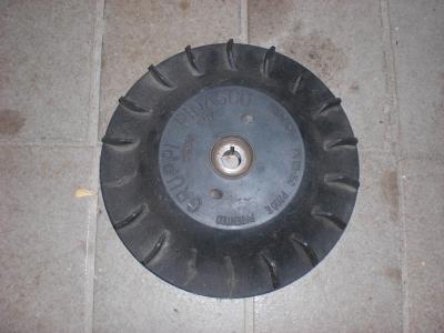 CIMG5419.JPG
