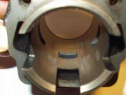 P1010015.JPG