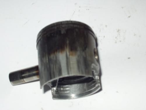 P1010037.JPG