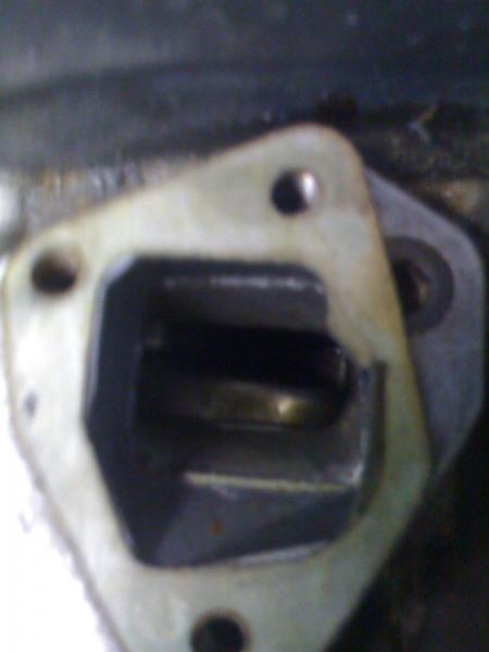post-14031-1268723255,32_thumb.jpg