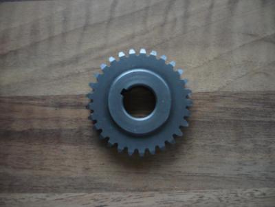 P1020435.JPG