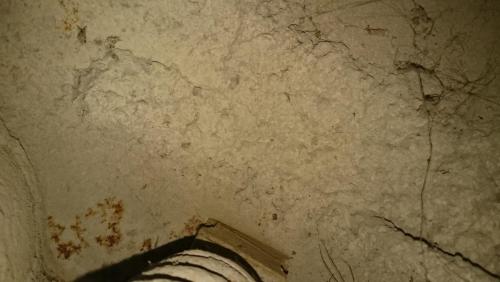 post-14095-0-68222400-1443101836_thumb.j