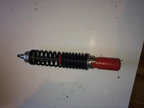 image.jpeg