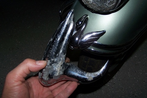 100_7755.thumb.JPG.abfb4489ba3909721ca7d