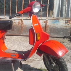italian stallion
