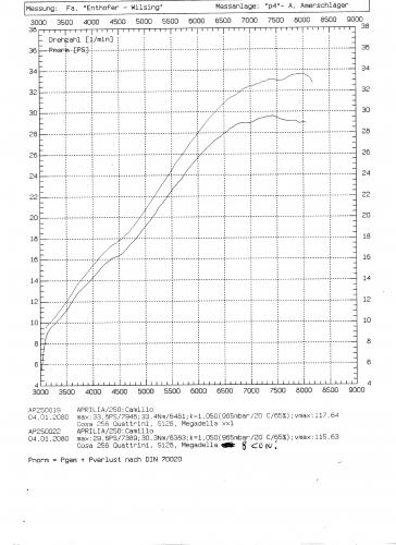 Grafico Quattrini 256117.jpg