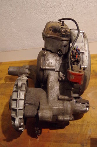 IMGP0311.JPG