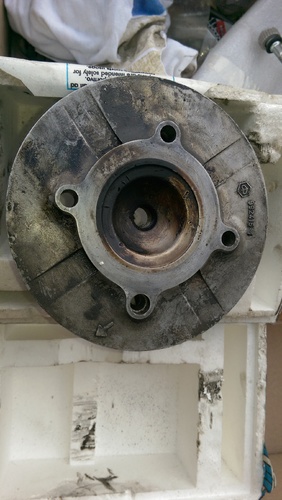 IMAG0359.jpg
