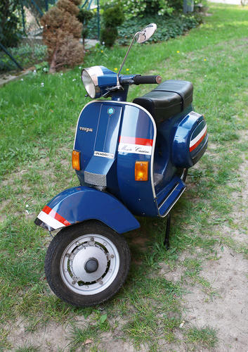 blauvespa1.jpg