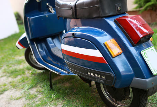 blauvespa2.jpg