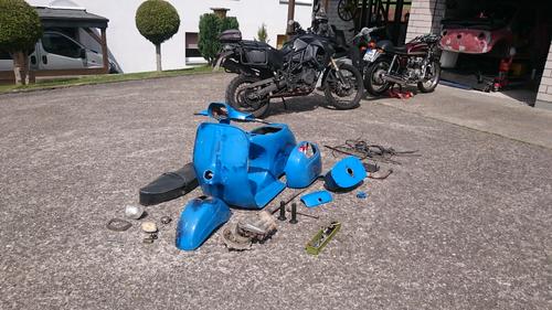 DSC_0127.JPG