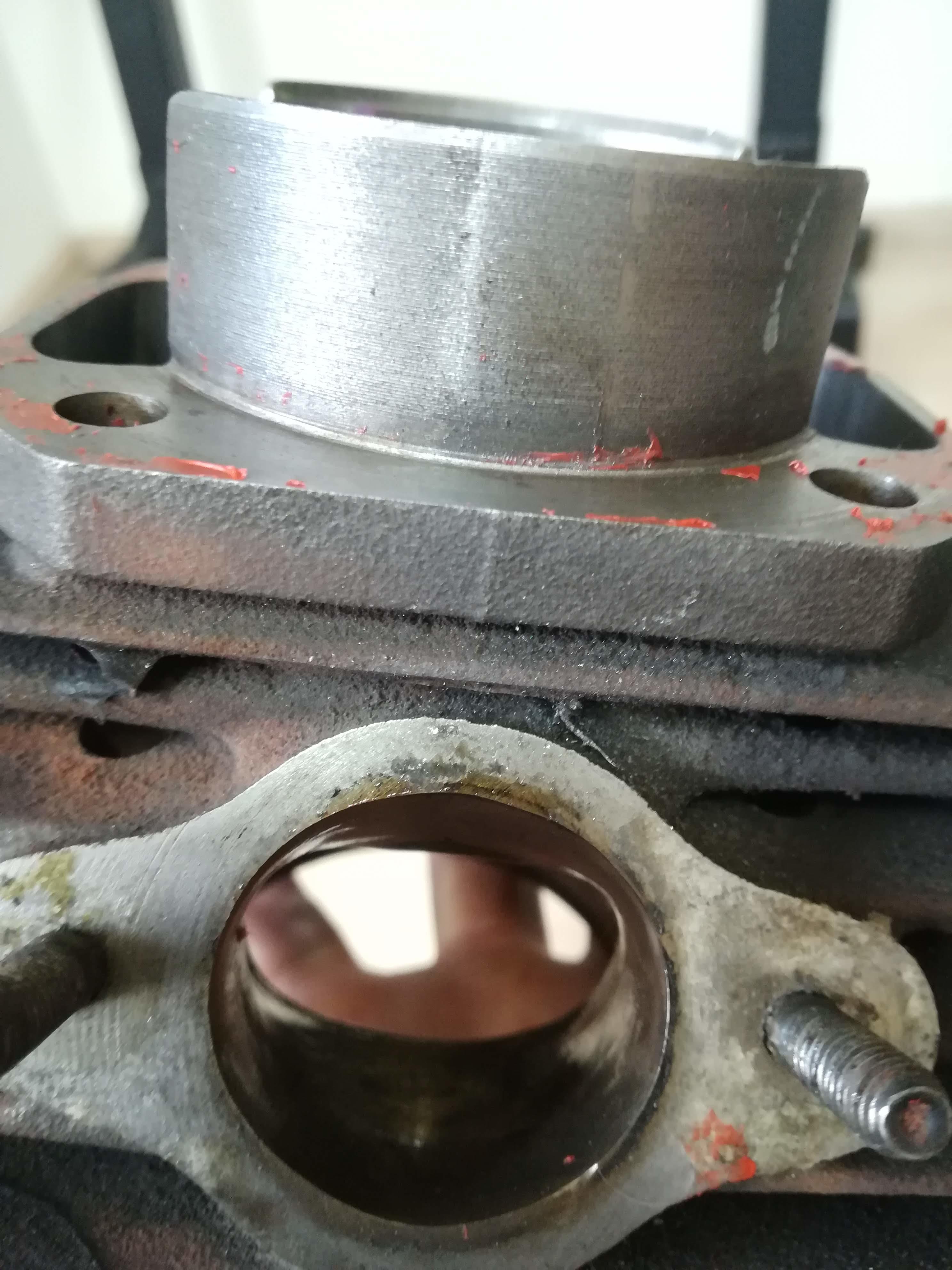 Teile: Denfeld Zierleistenschrauben Set, ASS, Malle Ansauggummi