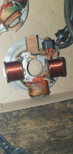 20250504_052457.jpg