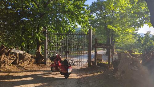 IMG-20250519-WA0001.thumb.jpeg.7baa81c9c3398cd45a9387ef0d664441.jpeg