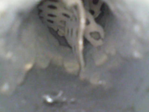 Image_2025-05-15 16_30_05_640.jpeg