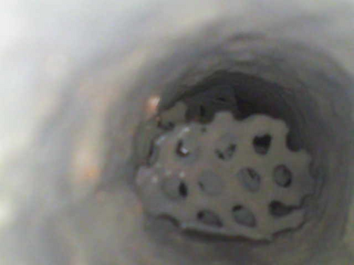 Image_2025-05-15 16_33_29_991.jpeg