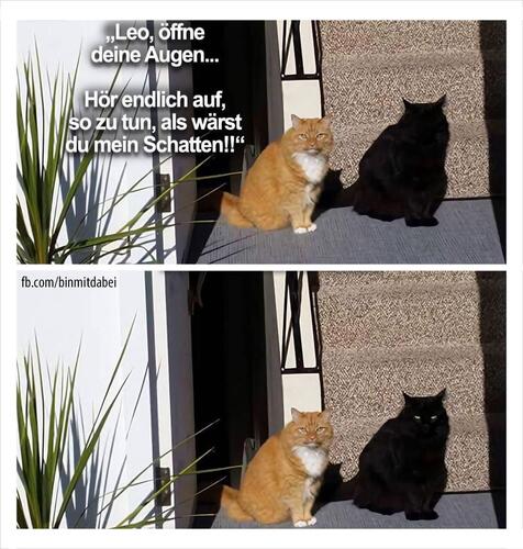FB_IMG_1749209608869.thumb.jpg.fd5009f13c669440abcd826c234fd81d.jpg