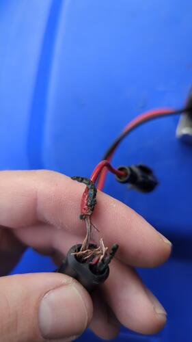 IMG-20250622-WA0024.thumb.jpeg.ad88f5ee6243b6a8b70c1cc254d8be17.jpeg