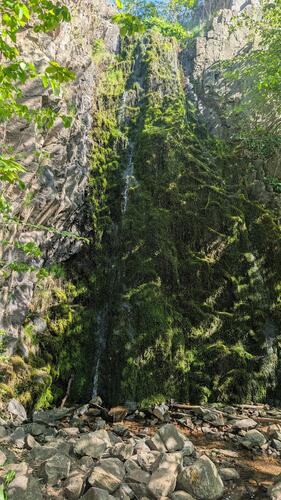 image.thumb.jpeg.5aa10b8b779e2d09ee5f25c01357db56.jpeg