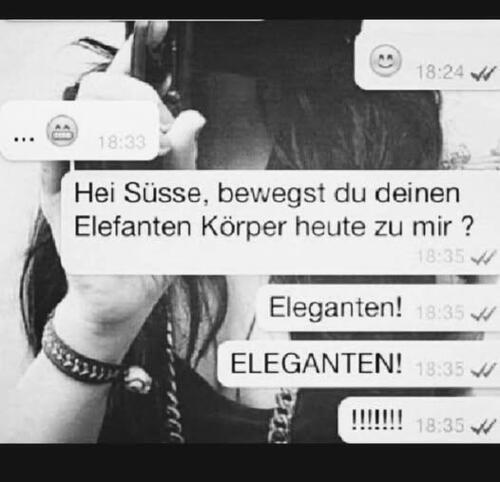 Elefantenkrper.thumb.jpg.89a9b677ebb58c27676f9fb2903b841b.jpg