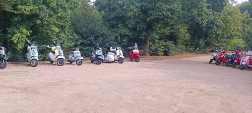 IMG_20250715_102204.jpg