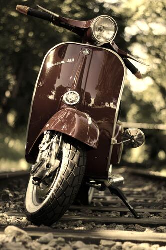 IMG_7376-sepia.JPG