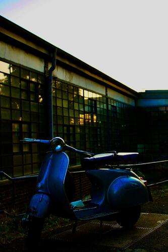 IMG_8801 2.JPEG