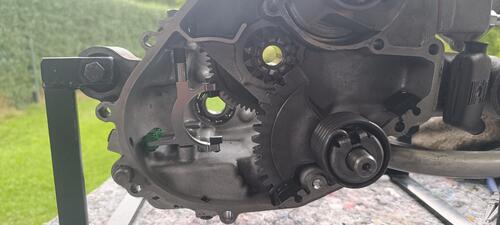 IMG_20250802_114741.jpg
