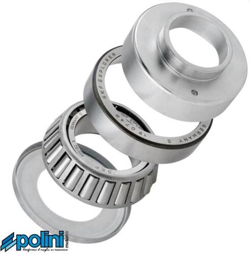 POLINI.thumb.jpg.060b8bfd0ad7c516fe4d724b26a359ae.jpg