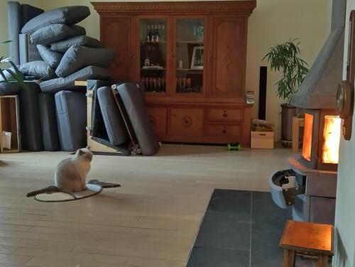 IMG_20250924_120303_HDR.jpg