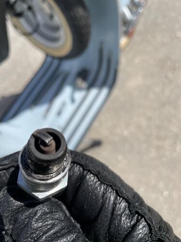 IMG_7818.jpeg