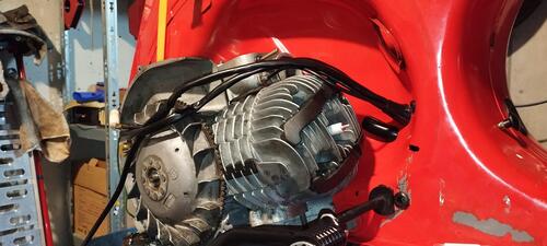 IMG_20251115_172642.jpg