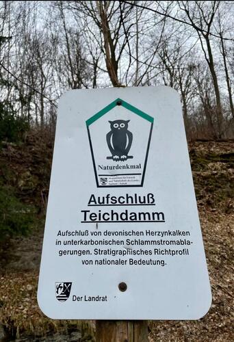 teichdamm.thumb.jpg.a08f5aa56eea589212cb879d3ed38e19.jpg