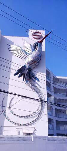 IMG_20251217_150604_448.jpg