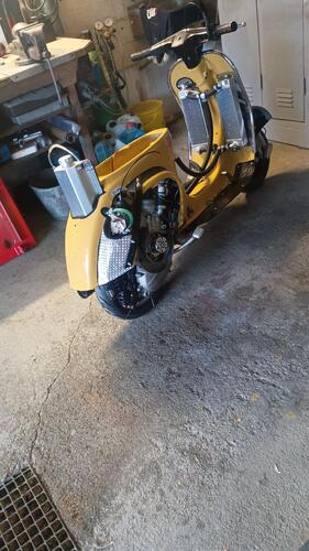 IMG-20260317-WA0028.jpeg