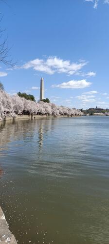 IMG_20260328_124026_528.jpg