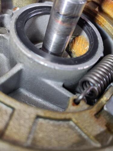 Tachoritzel.jpg
