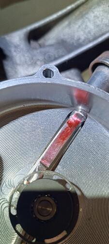 IMG_20260425_120331.jpg