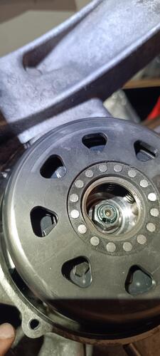 IMG_20260425_120359.jpg