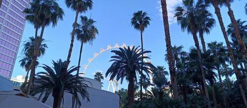 IMG_20260505_170924_481.jpg