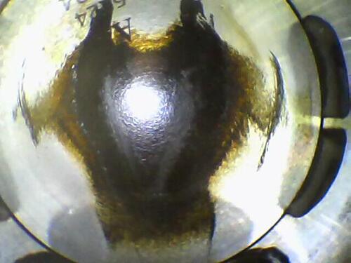 IPC_2026-06-14.10.42.58.7330.jpg