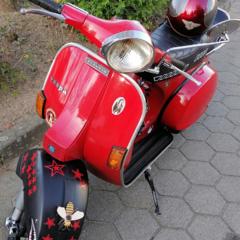alfi_61