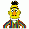 *bert